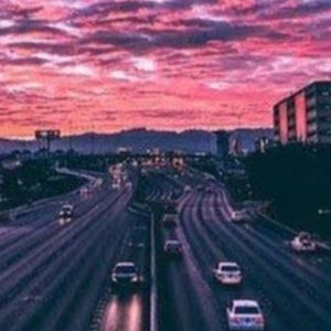 Meet your Posher, Bella